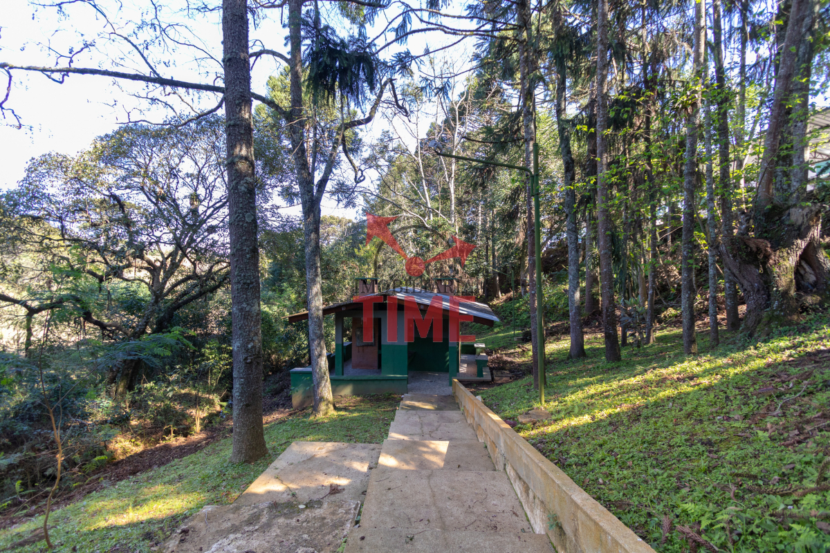 Foto 62